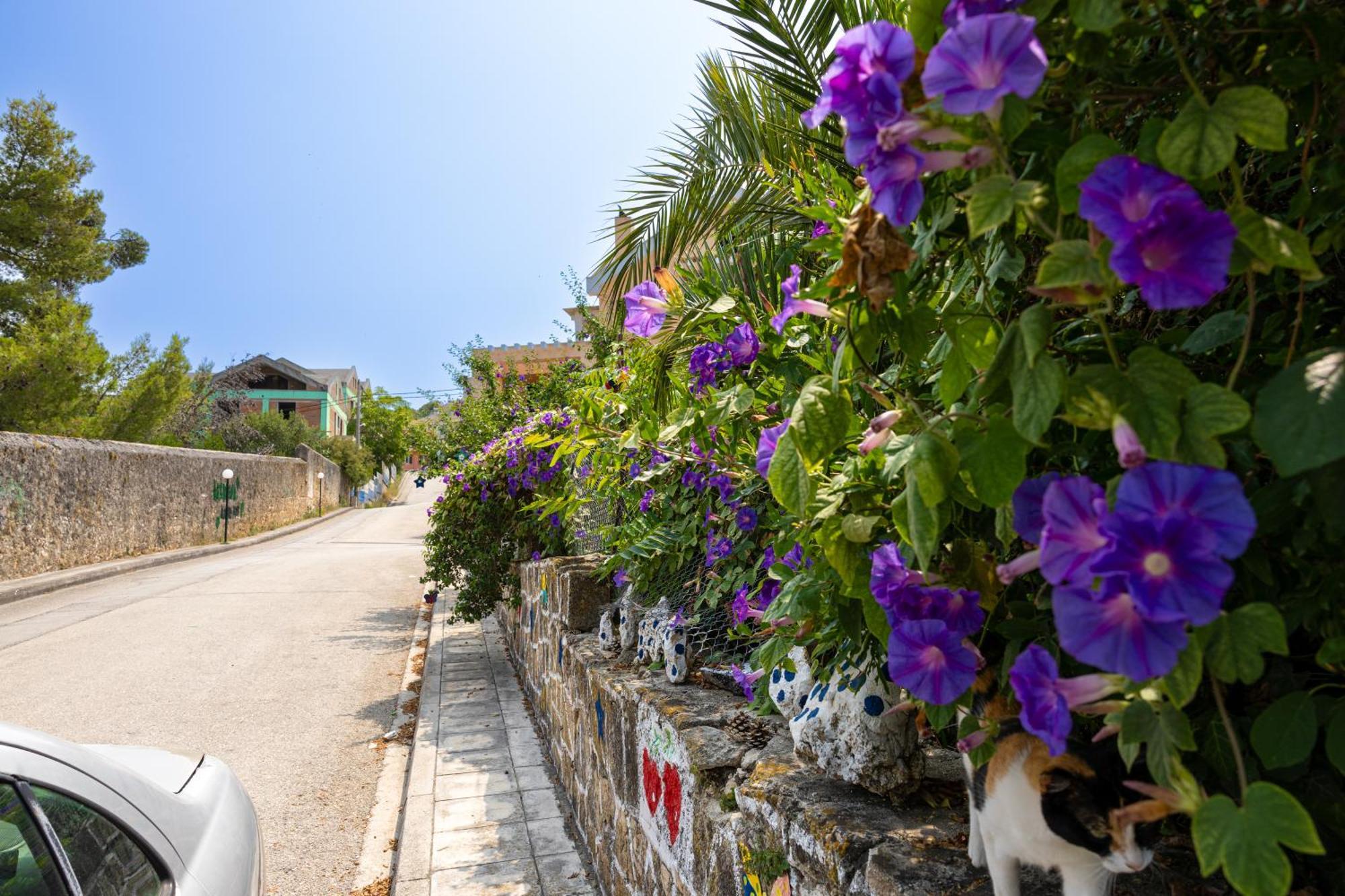 Domus City Apartment Argostoli  Bagian luar foto
